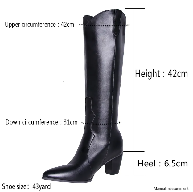 WW - Women's Boots with Pointed Toe