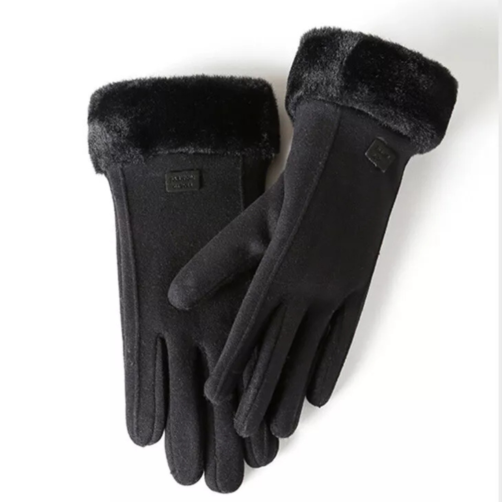 WW | Windproof Winter Gloves
