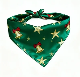 WW | Holiday Couple Button-Down Green Satin Christmas Pajama Set