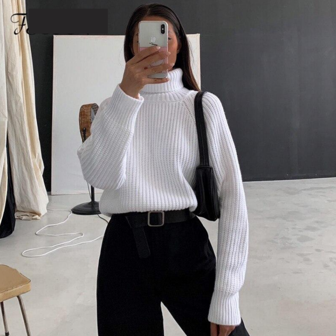 WW | warm winter turtleneck sweater