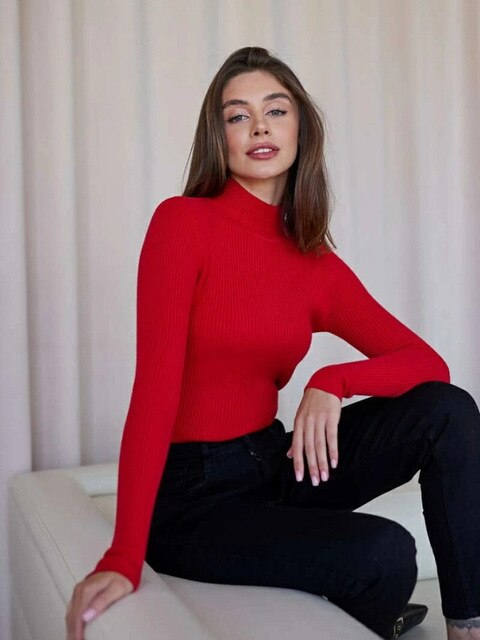 WW | Turtleneck Comfortable & Stylish