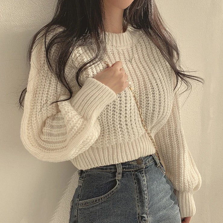 WW | Cropped Sweater