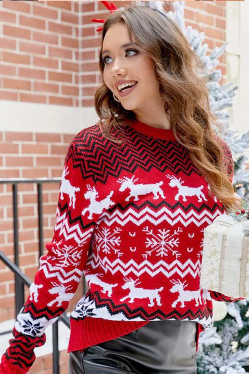 WW | Gestreifter Weihnachtsren-Strickpullover