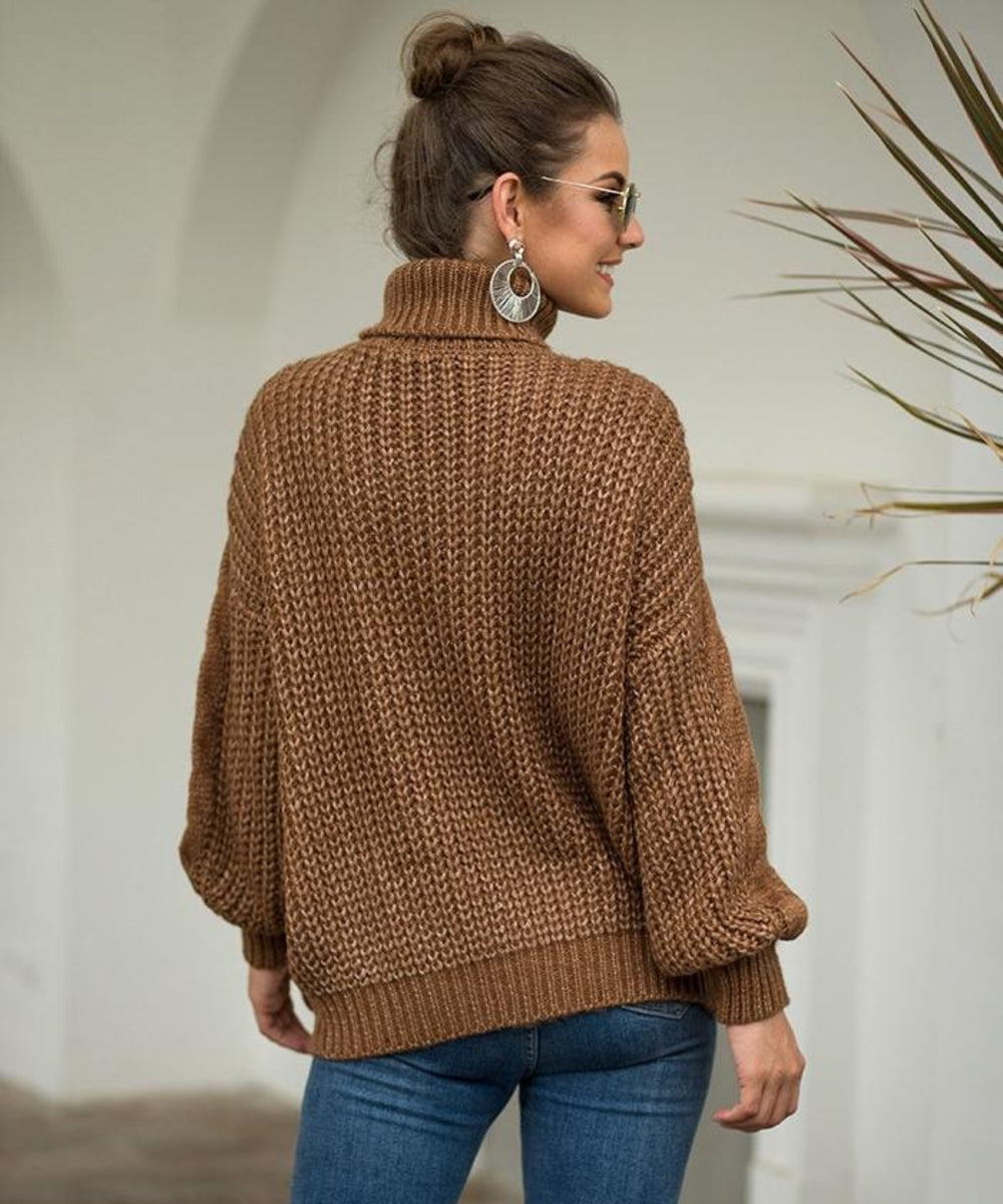 WW | Stylish, Warm Turtleneck Sweater