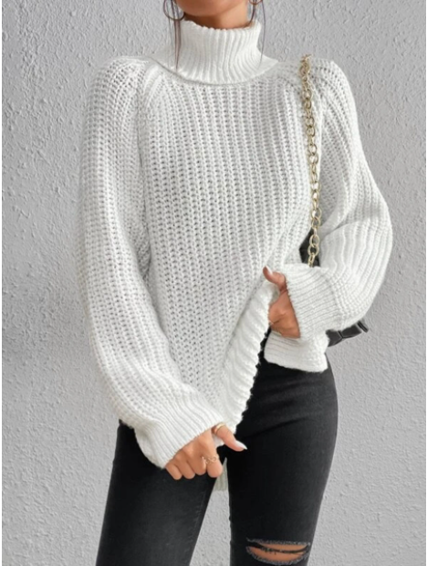 W&W - Cozy Knitted Turtleneck Sweater