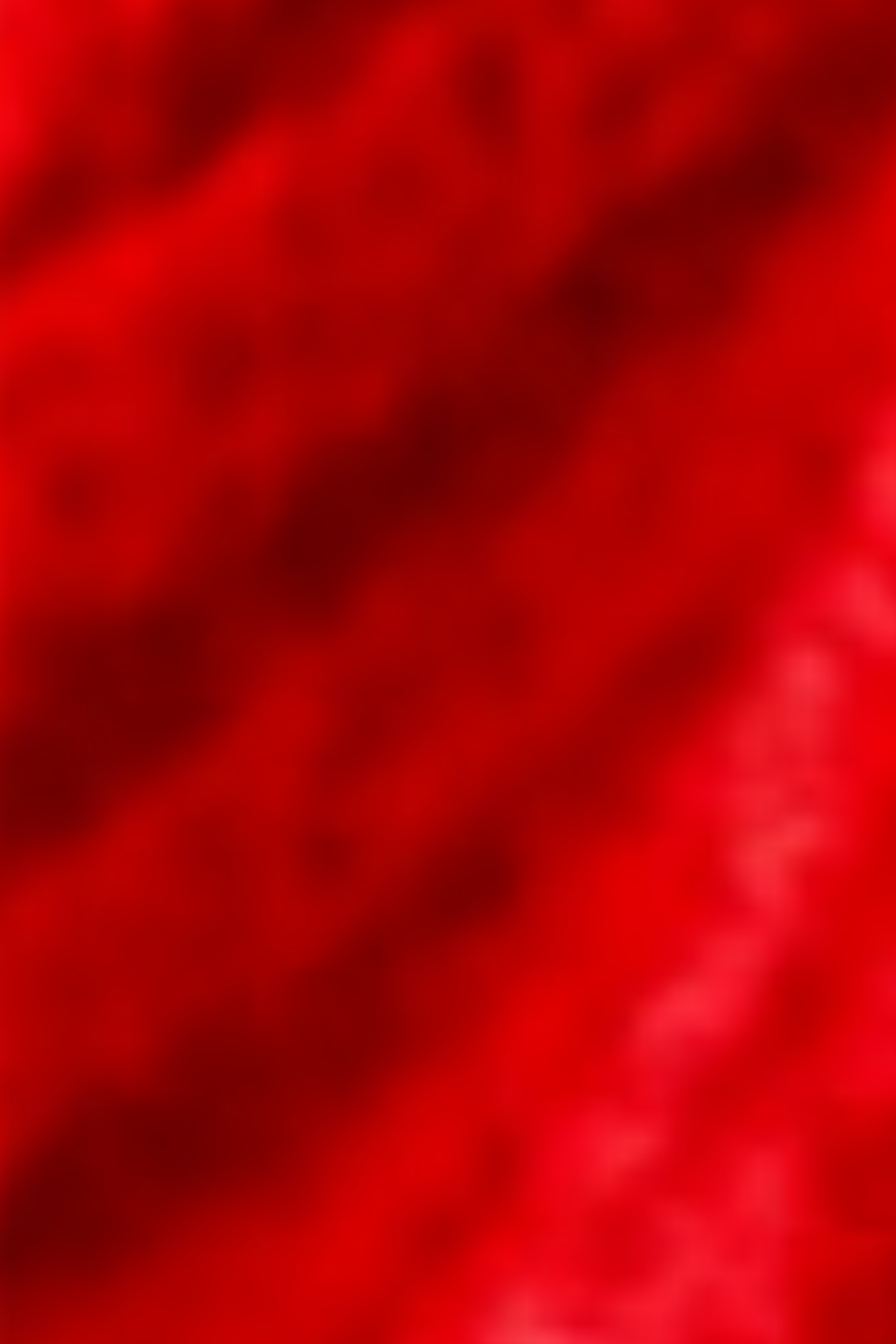 Elizah Pullover - Red