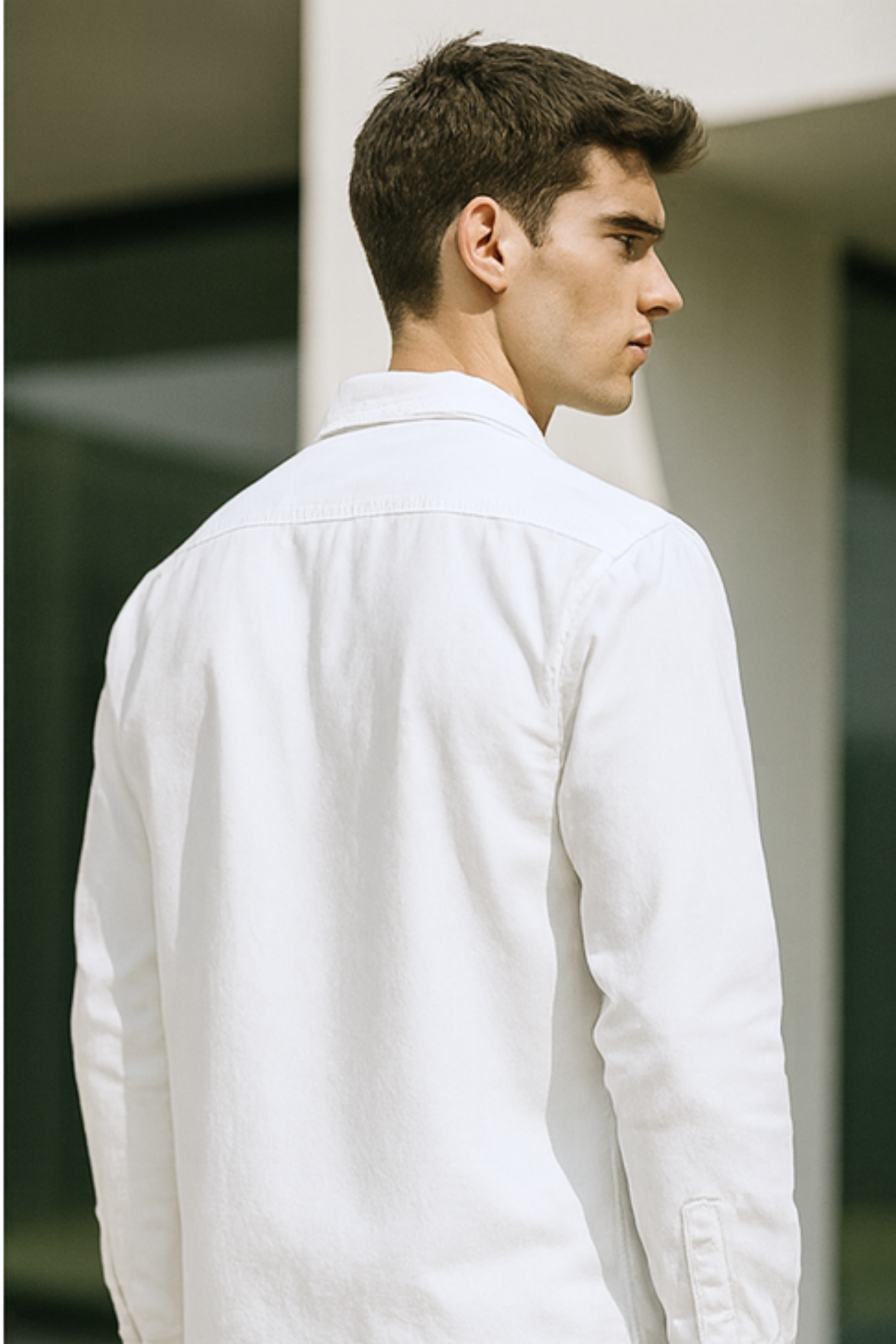 Dan | Classic Cotton Shirt