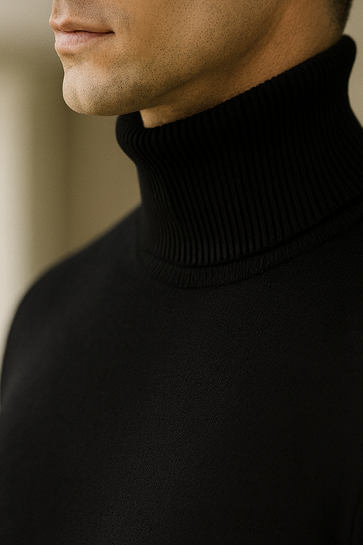 Enzo | Knitted Turtleneck Sweater
