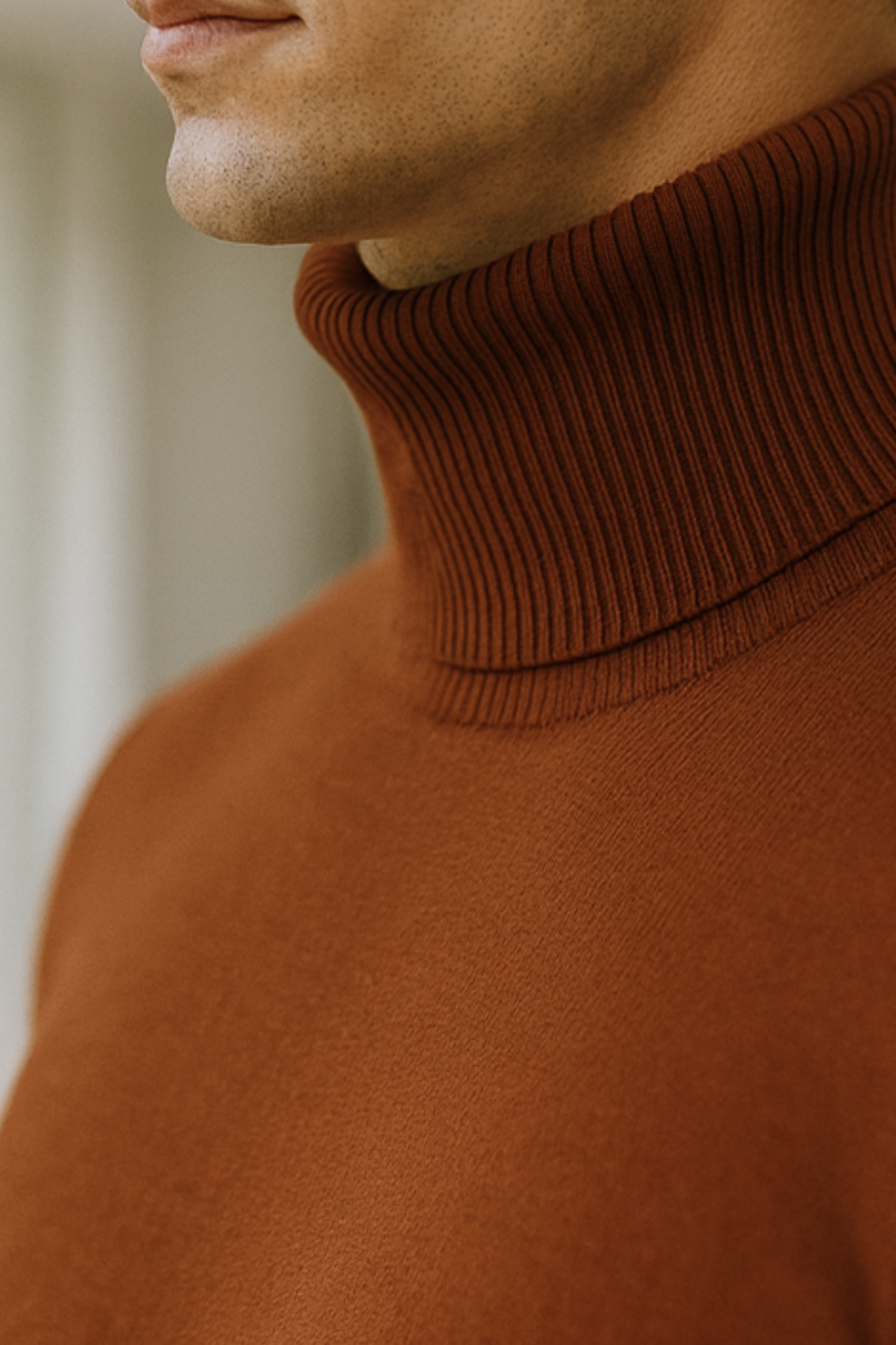 Enzo | Knitted Turtleneck Sweater