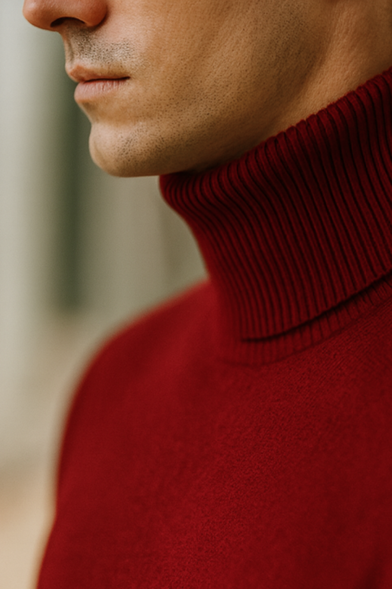 Enzo | Knitted Turtleneck Sweater