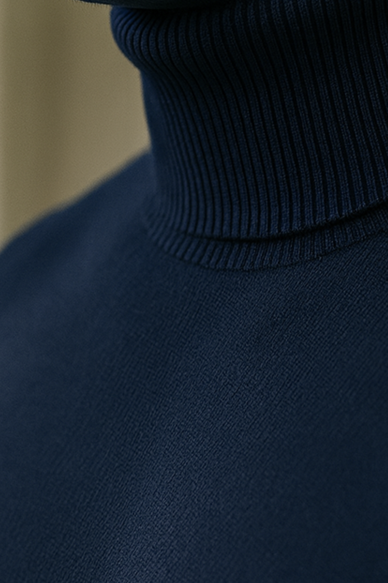 Enzo | Knitted Turtleneck Sweater