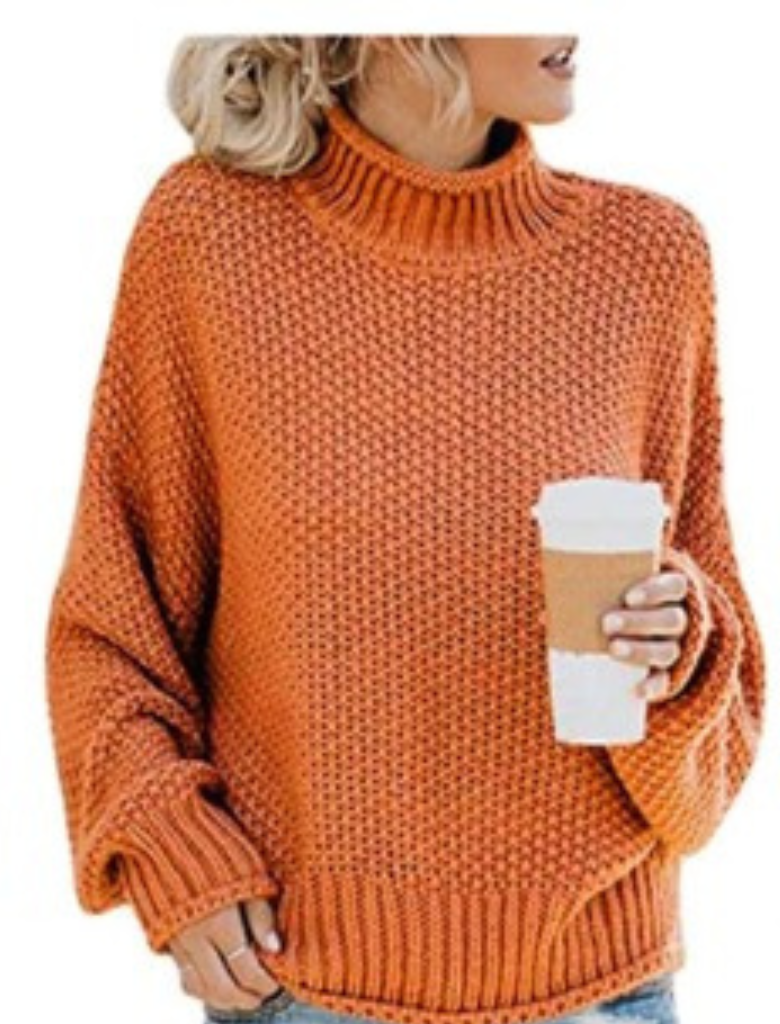 WW | Solid-colored Long-sleeved Sweater