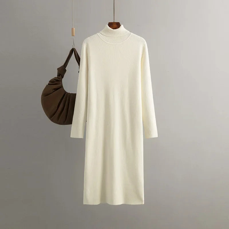 WW | Rollkragenkleid