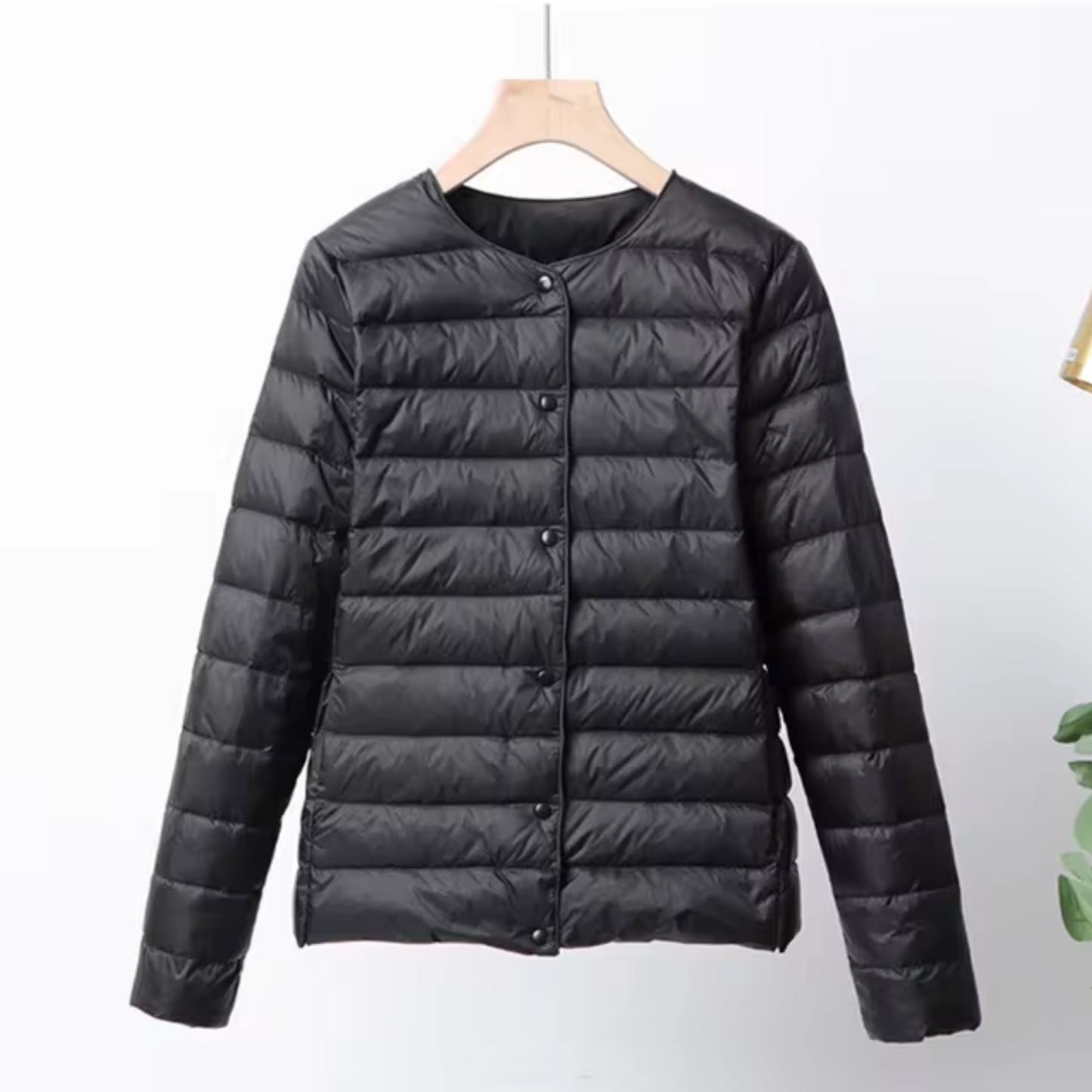 WW | Ultralight Down Jacket