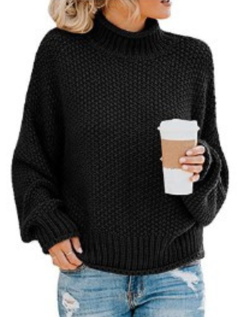 WW | Solid-colored Long-sleeved Sweater