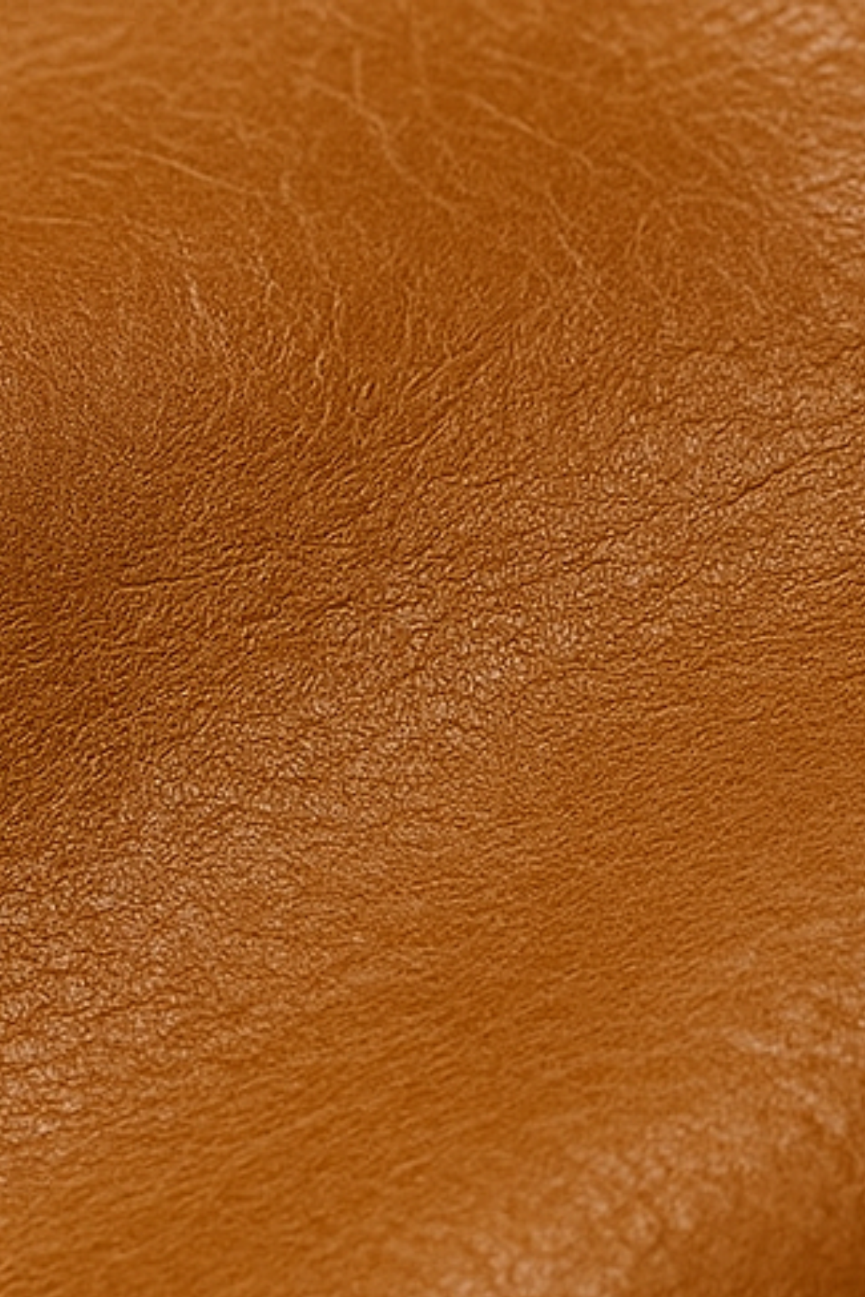 Robin Rider Leather Jacket - Brown