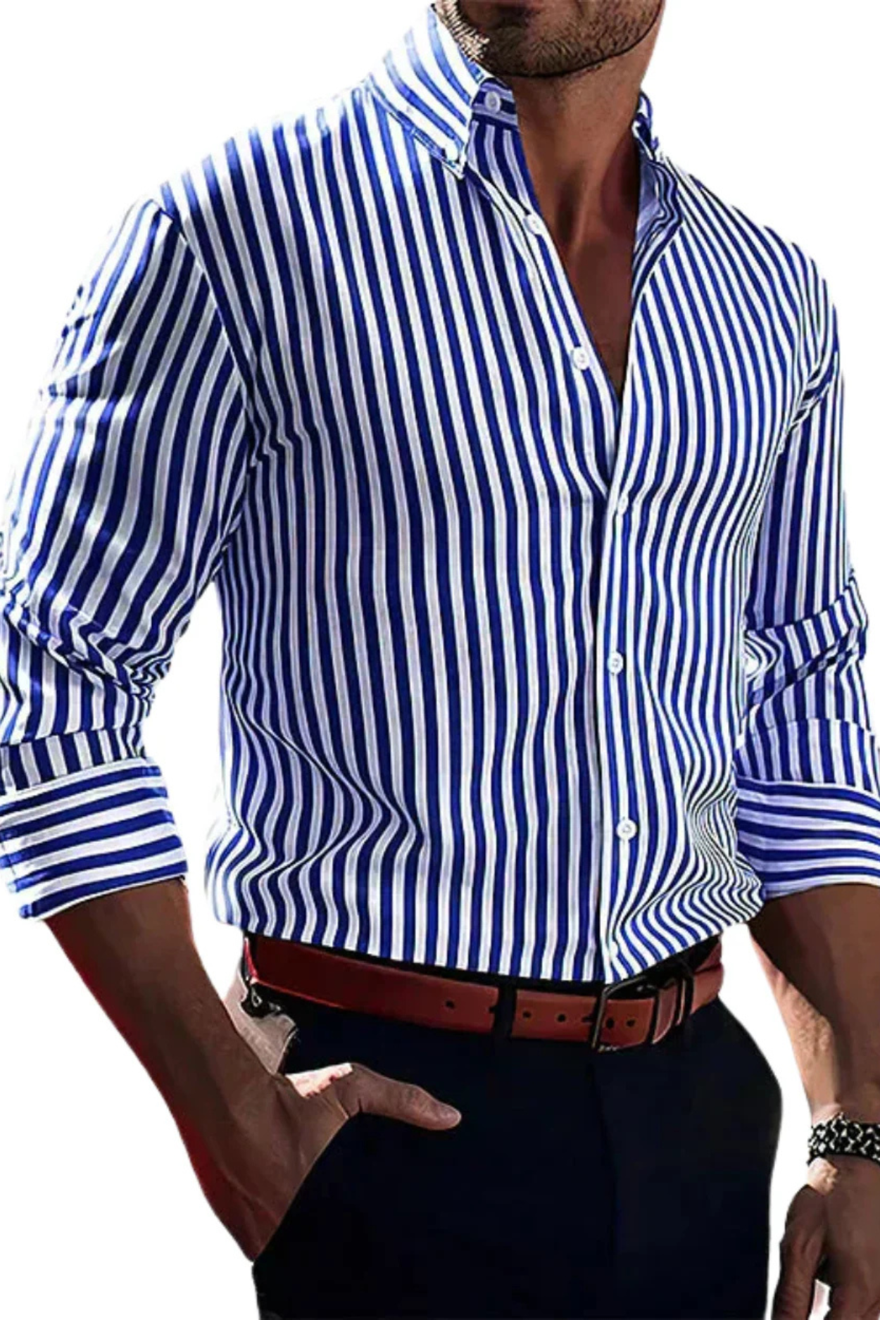 William Elegant Striped Shirt - Blue