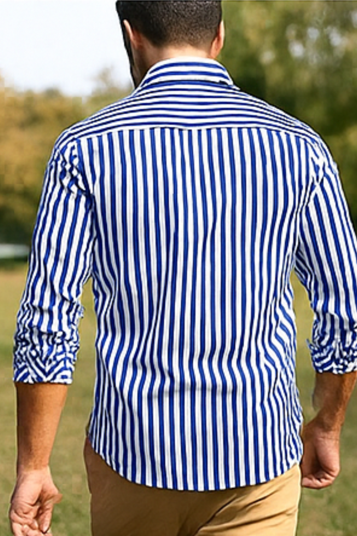 William Elegant Striped Shirt - Blue