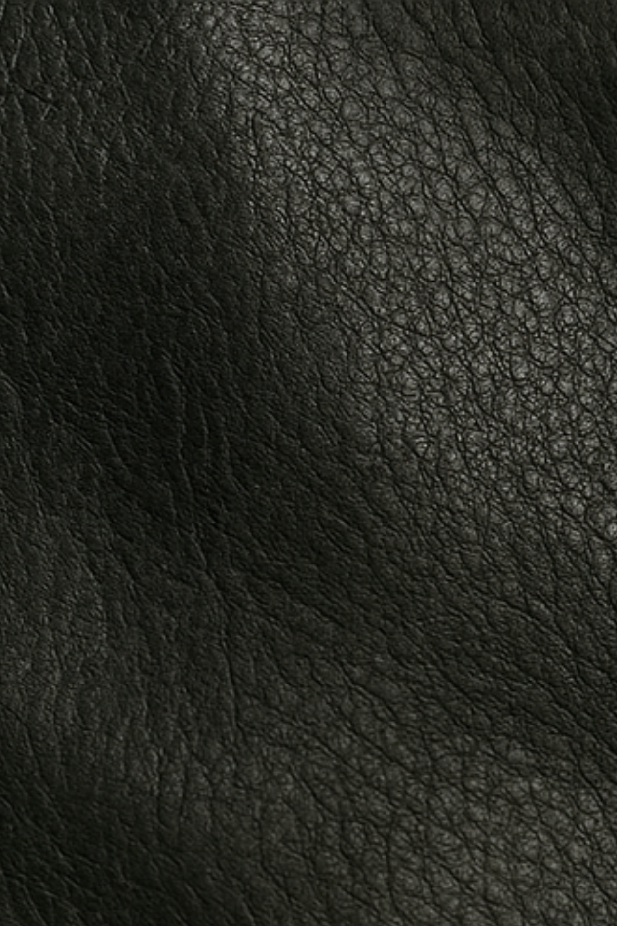 Robin Rider Leather Jacket - Dark Grey