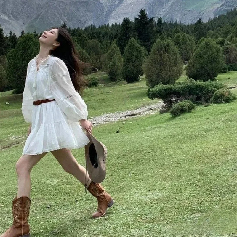 WW | Western Stil Stiefel Damen mit Spitzem Kopf und Blockabsatz, Cowboy Stiefel Damen