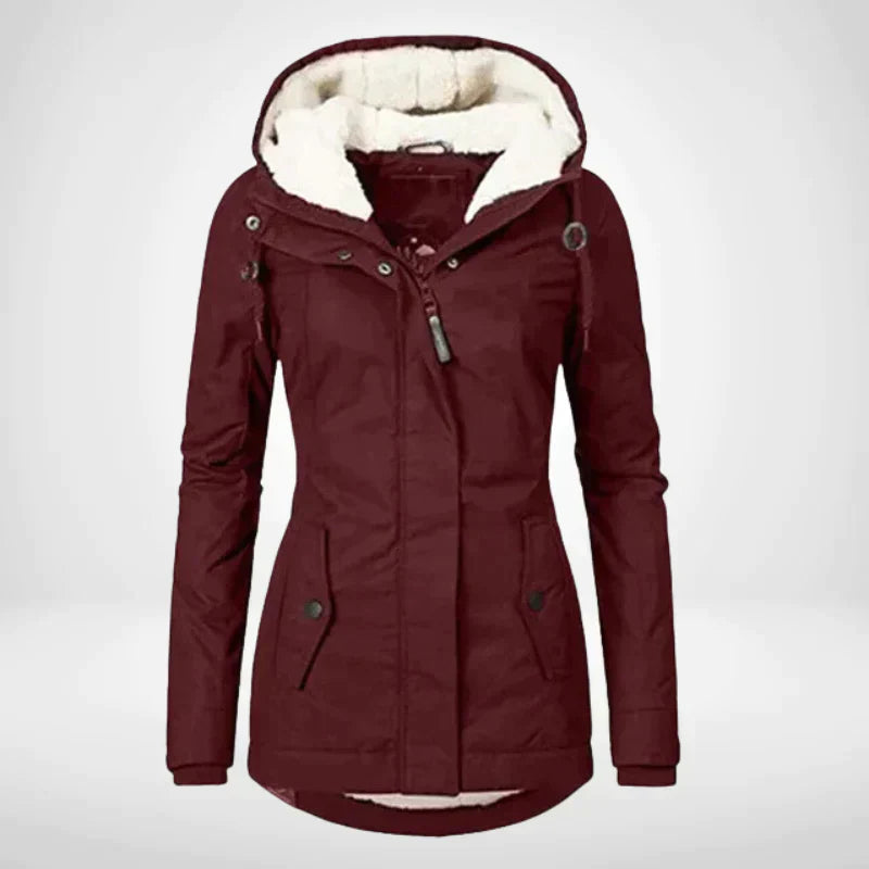 WW | Winter Jacket Stylish & Comfortable