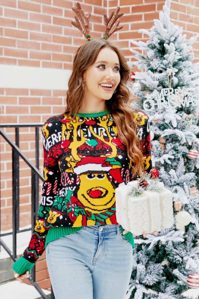 WW | Weihnachts Cartoon Rentier Strickpullover