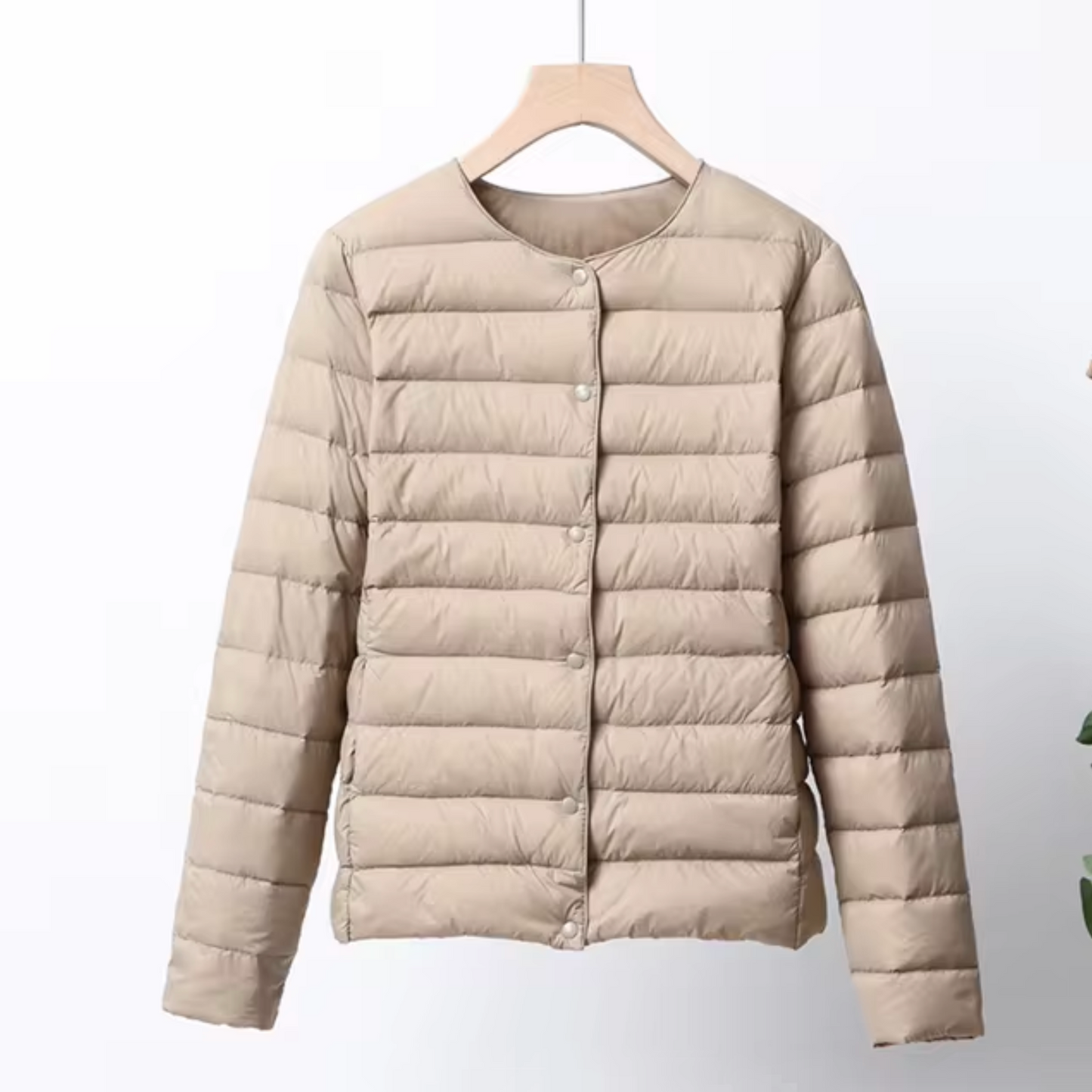 WW | Ultralight Down Jacket