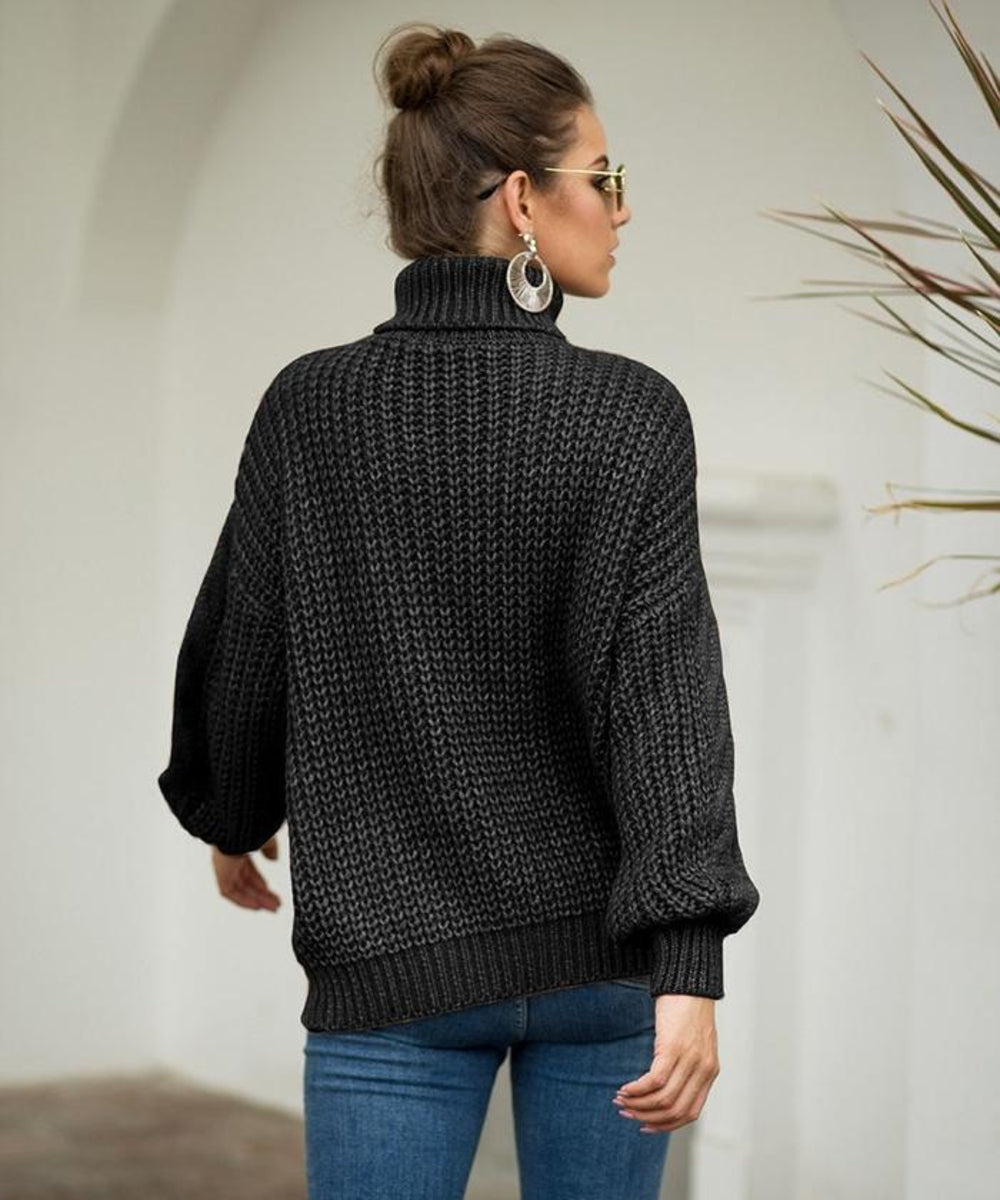 WW | Stylish, Warm Turtleneck Sweater