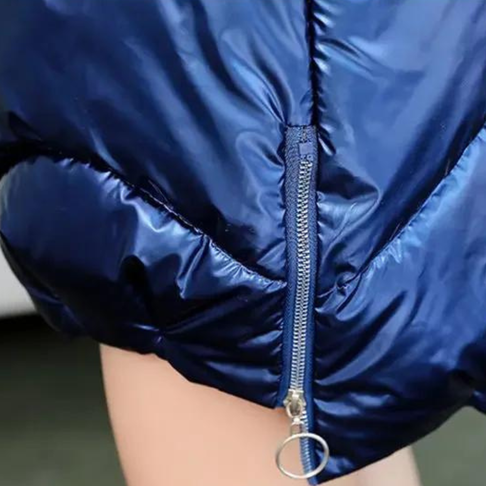 WW | Stylish Padded Hooded Jacket For Women