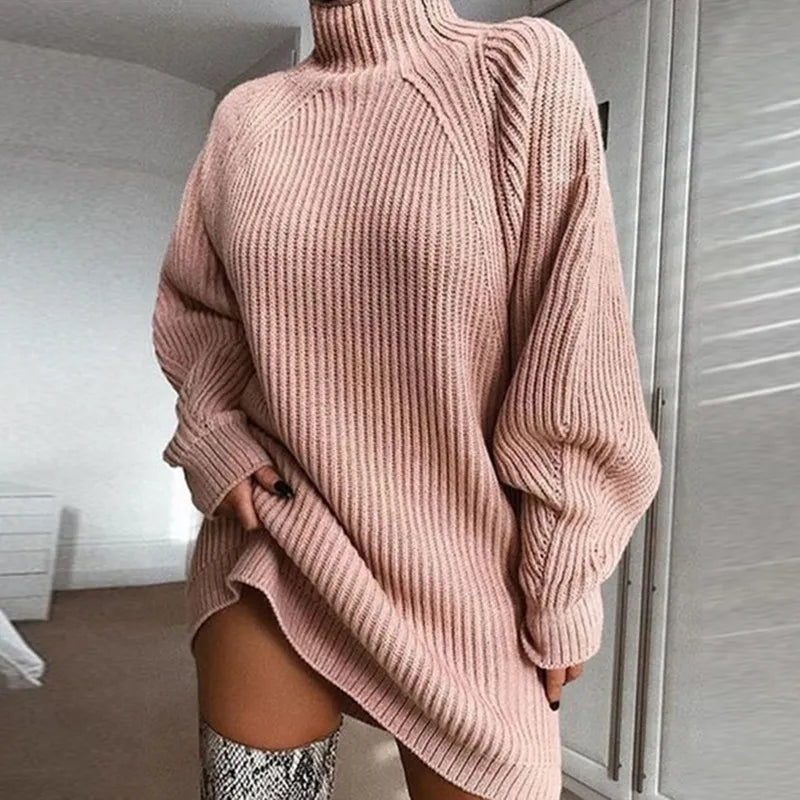 WW | Comfortable Turtle Neck Dress
