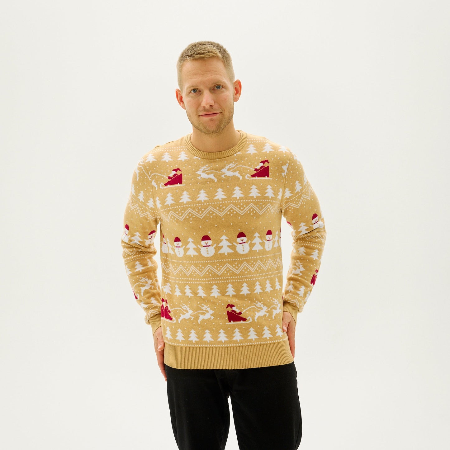 WW | Der stilvolle Weihnachtspullover Beige - Herren