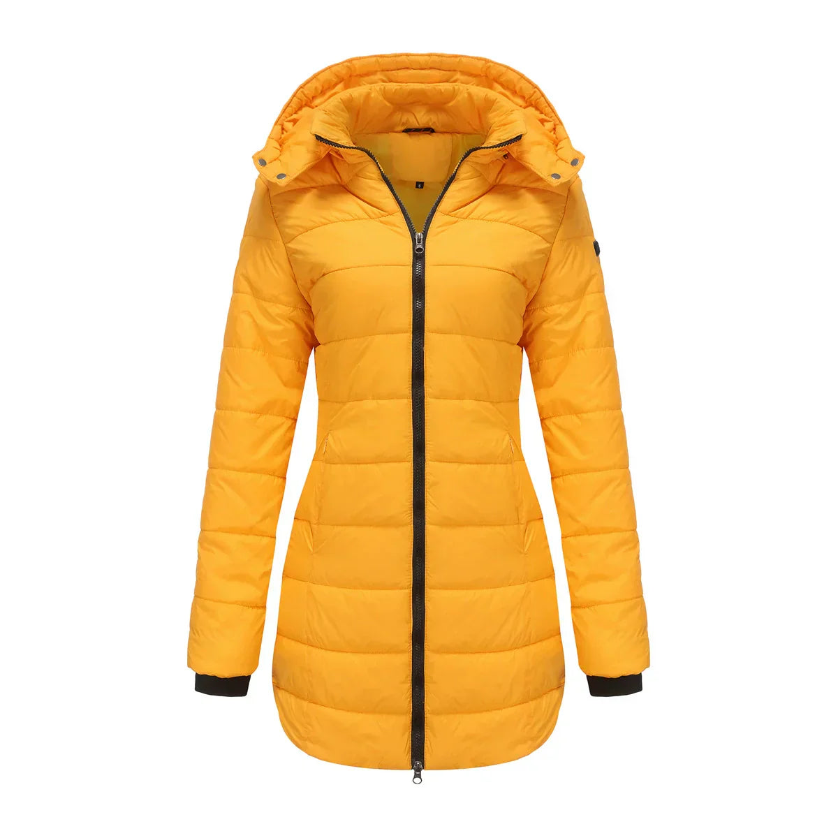 WW | Women's Puffer Jacket - Padded Insulated - Detachable Hood - Ribbed Cuffs - Mid-Length Fit