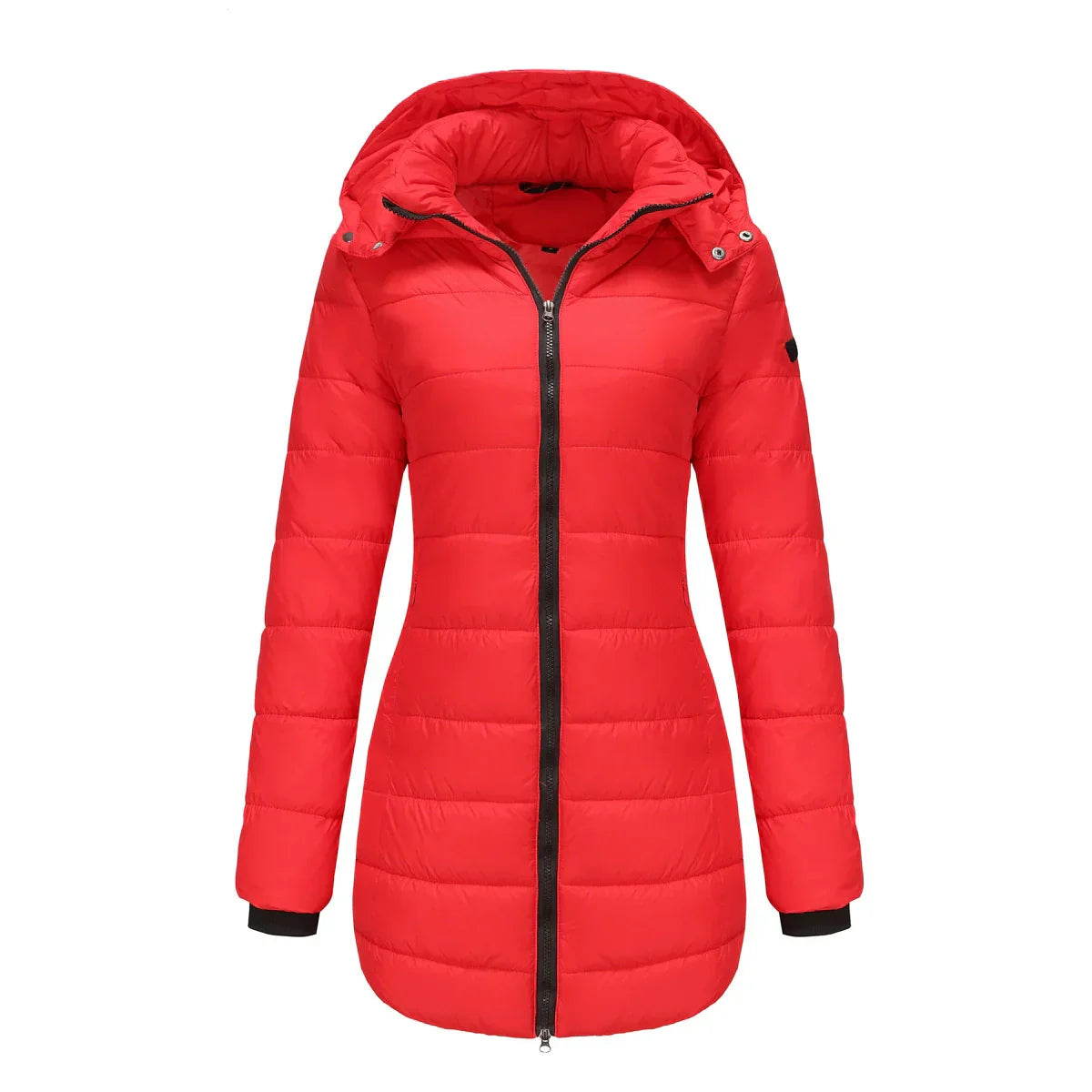 WW | Women's Puffer Jacket - Padded Insulated - Detachable Hood - Ribbed Cuffs - Mid-Length Fit