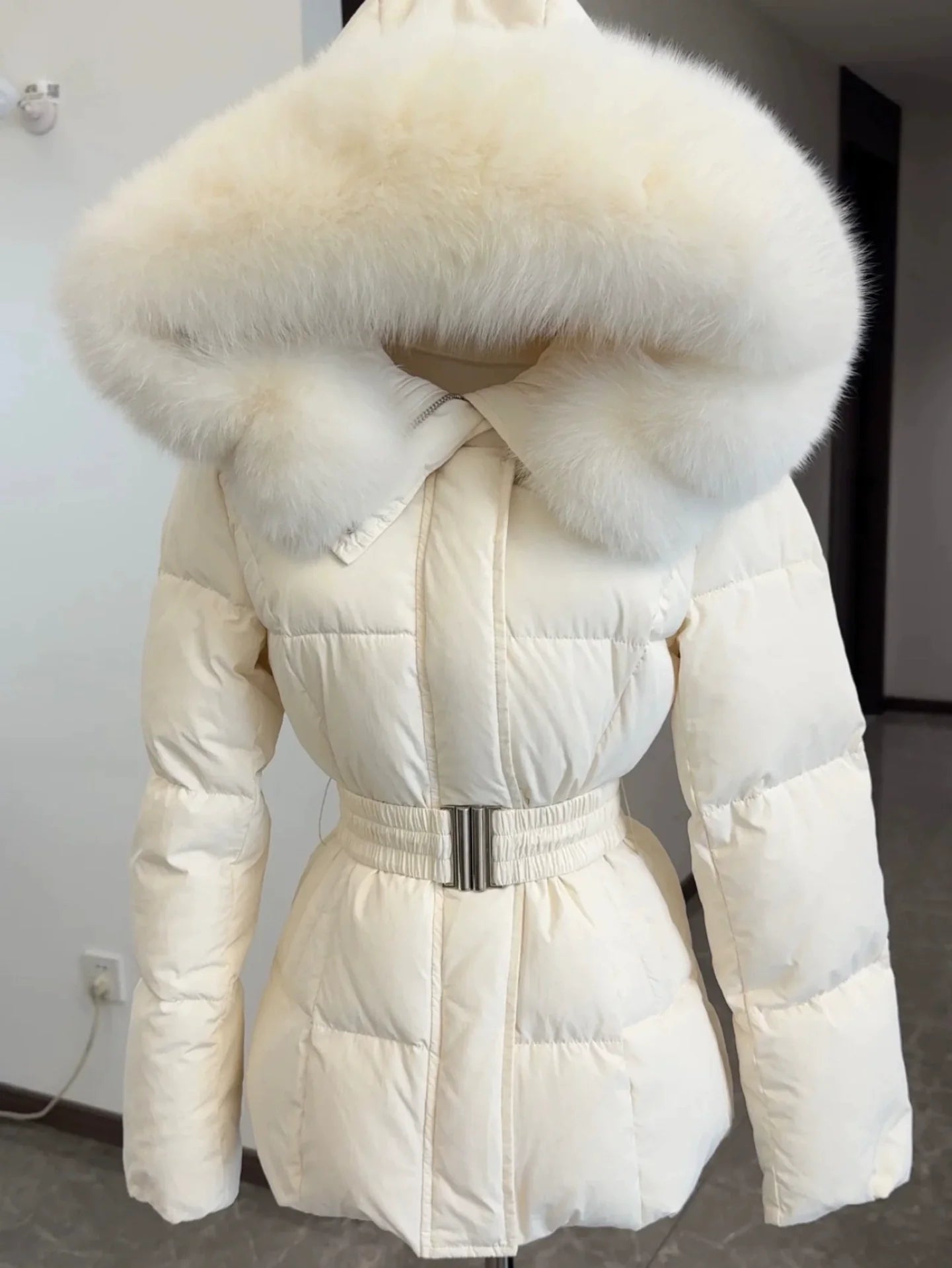 WW | Stylish Hooded Jacket with Belt