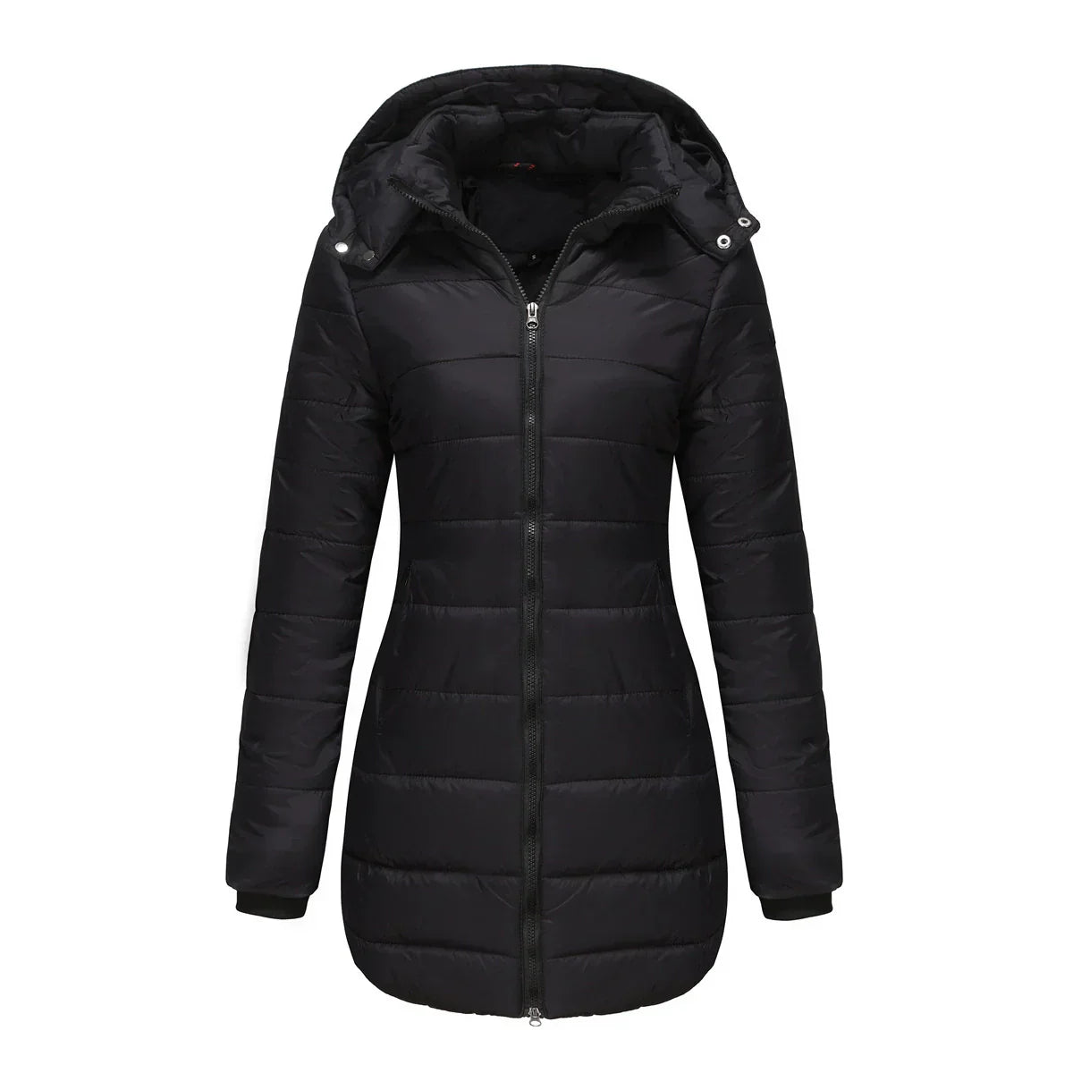 WW | Women's Puffer Jacket - Padded Insulated - Detachable Hood - Ribbed Cuffs - Mid-Length Fit