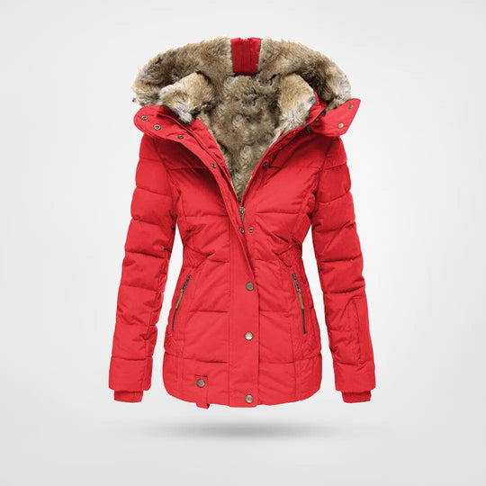 WW - Warm, fashionable winter jacket with lining and hood