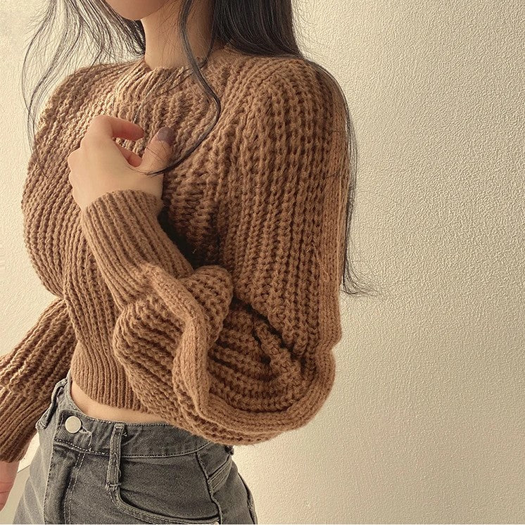 WW | Cropped Sweater