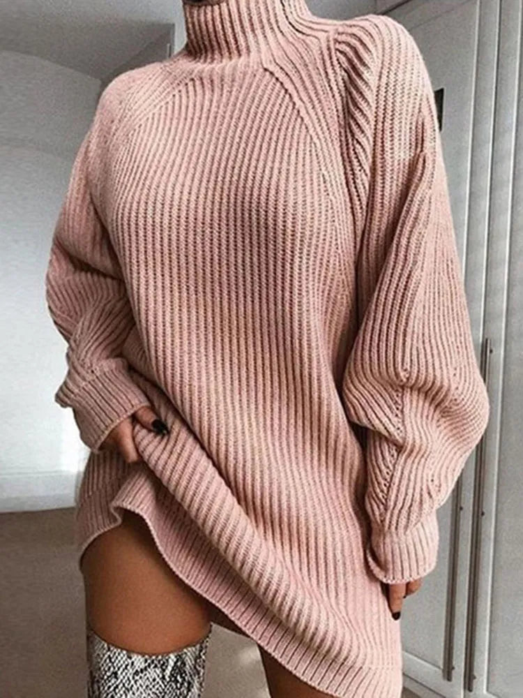 WW | Comfortable Turtle Neck Dress