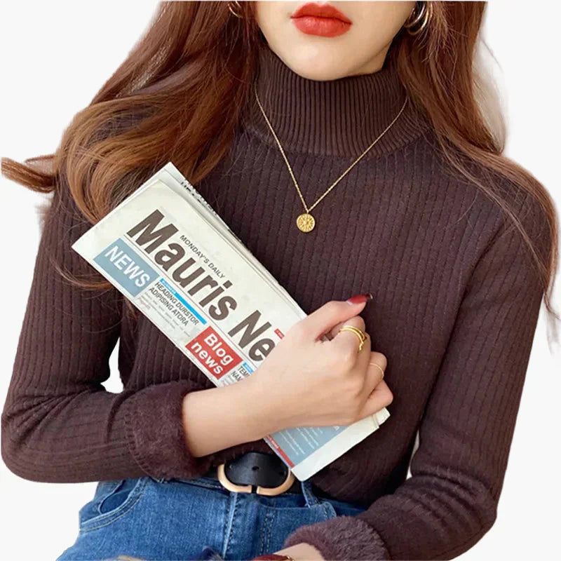 WW | Turtleneck Pullover Basic Knit Long Sleeve for Everyday and Office