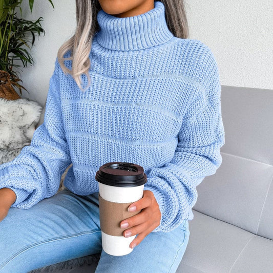WW | Weicher Pullover Mit Rollkragen Aus Baumwolle