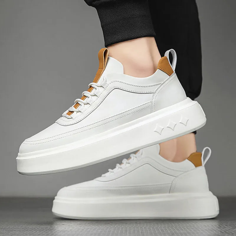 WW | Elegant Basketball Shoes
