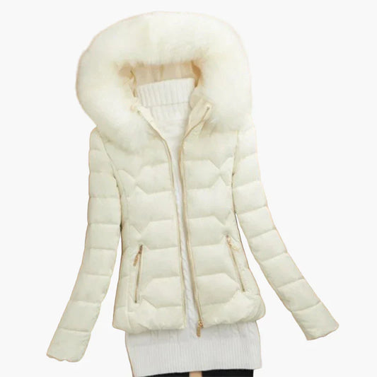 WW | Winter Quilted Jacket with Hood and High Collar - Elegant City Style for Cold Days