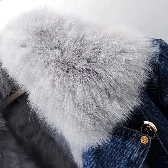WW | Classic and Stylish Denim Jacket
