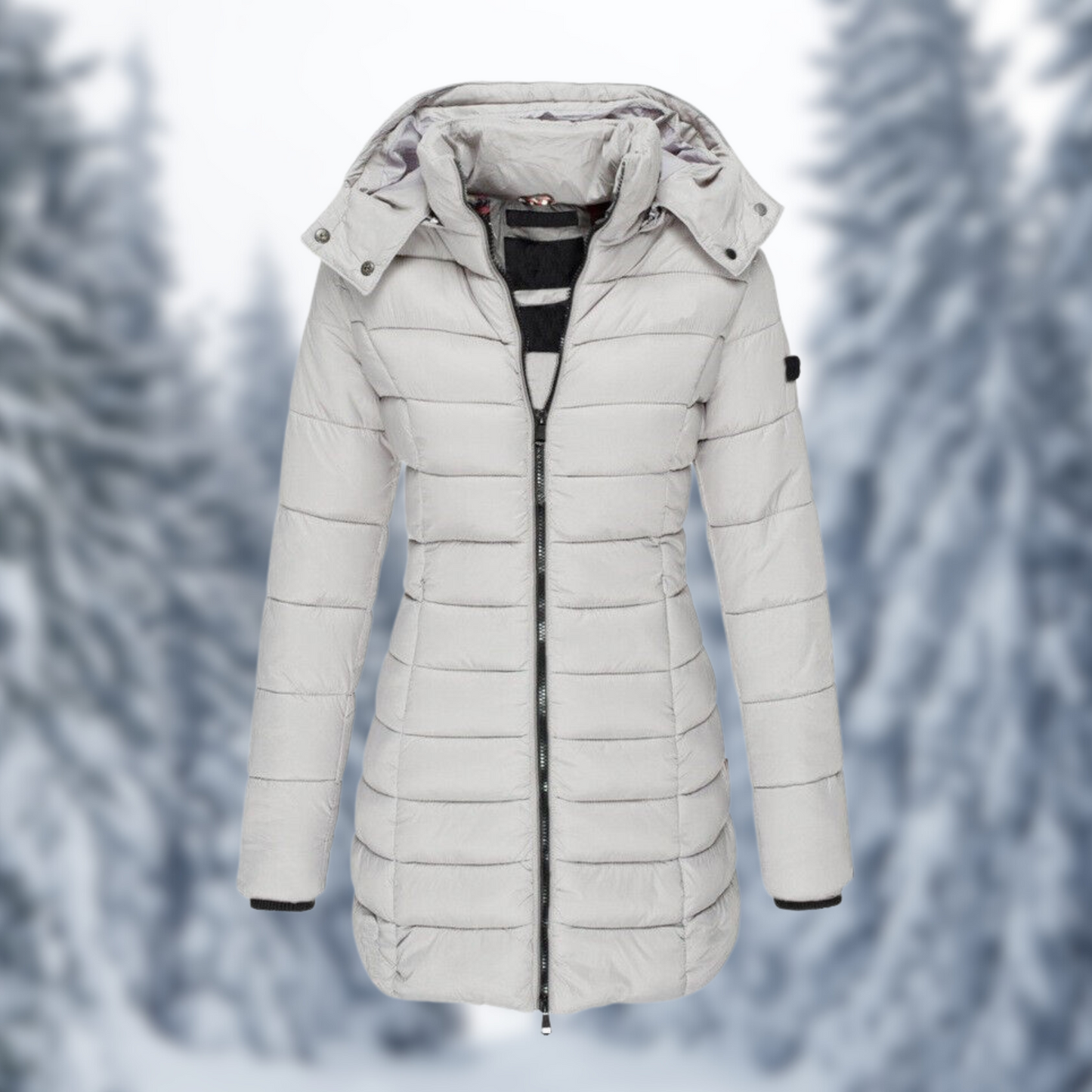 WW | Winter Winter Jacket