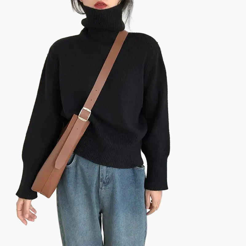 WW | Turtleneck Sweater - Fashionable Autumn Winter Knitted Sweater for Everyday & Leisure