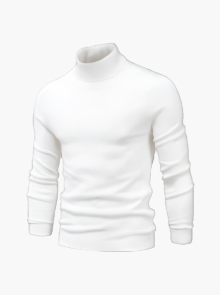 WW | Rollkragenpullover Modern Elegant für Alltag und Business