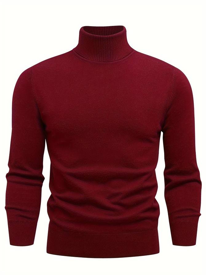 WW | Stylish Turtleneck Sweater for Men