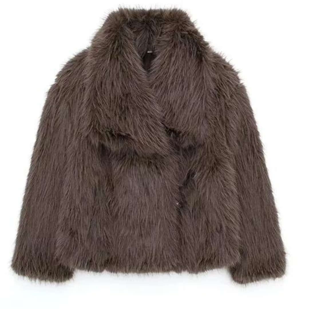 WW | Plush Faux Fur Coat