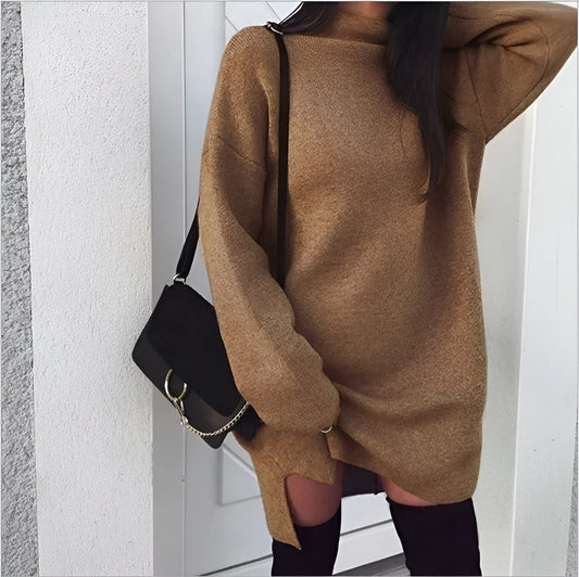 WW | 2024 Herbst Oversized Rollkragenkleid