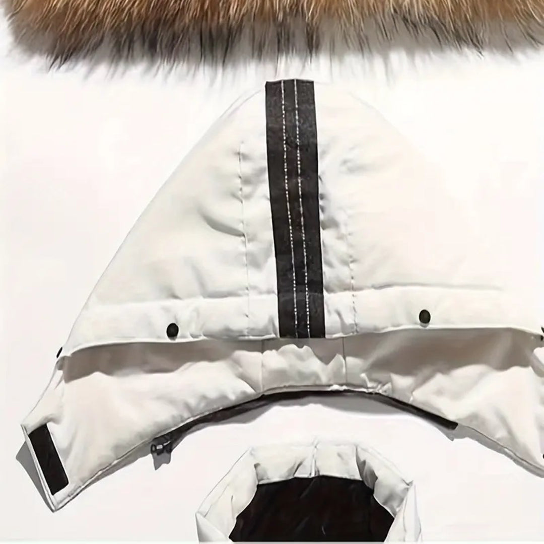 WW | Jacket for Style-Conscious Men
